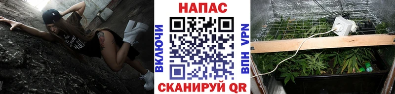 МАРИХУАНА OG Kush  где найти наркотики  ссылка на мегу сайт  Калининец 